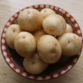 Сколько варить картошку8